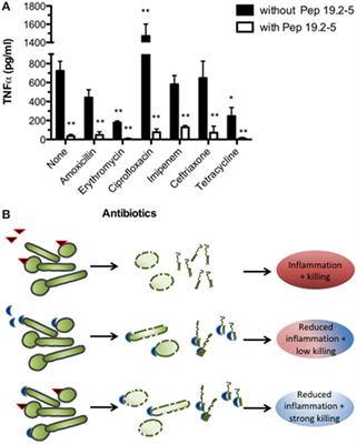 Inhibition of Lipopolysaccharide- and Lipoprotein-Induced Inflammation by Antitoxin Peptide Pep19-2.5